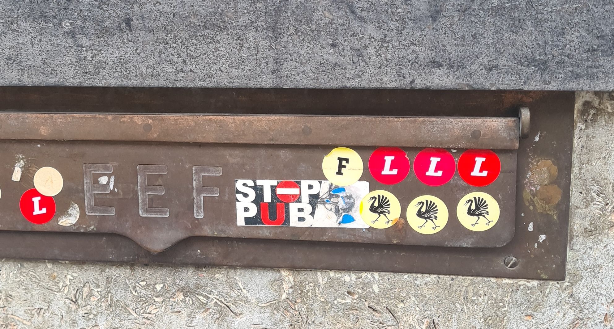 Pin